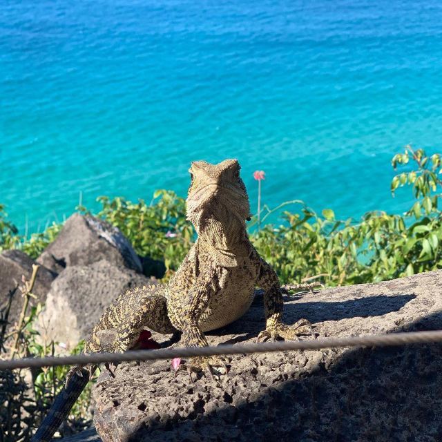 Burleigh Head National Park