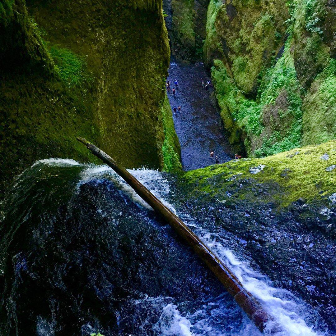 ポートランド Oneonta Gorge 評判 案内 トリップドットコム ポートランド Oneonta Gorge 評判 案内 トリップドットコム