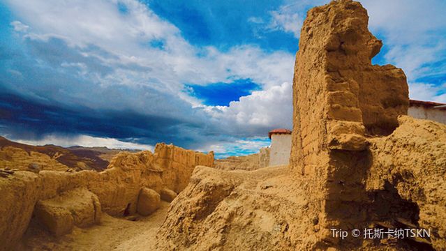 Tibet Earth Forest of Zanda National Geological Park