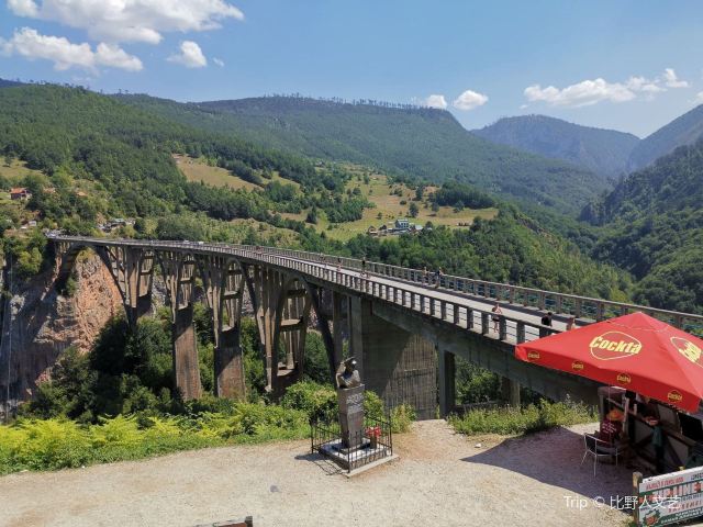 Tara River Canyon