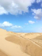 Port Stephens Sand Boarding