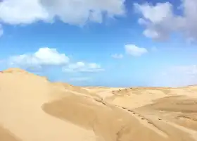 Port Stephens Sand Boarding