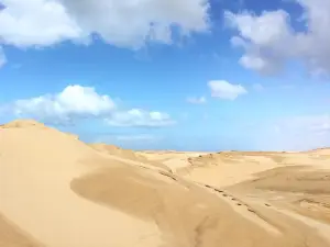 Port Stephens Sand Boarding