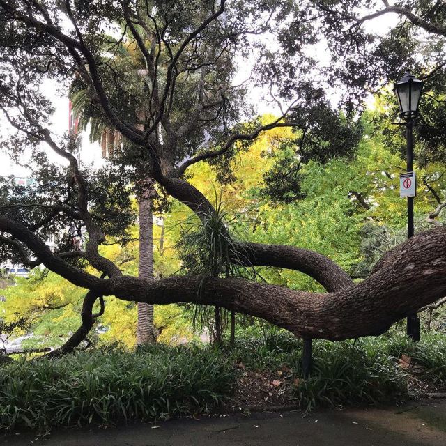 Emily Place Reserve