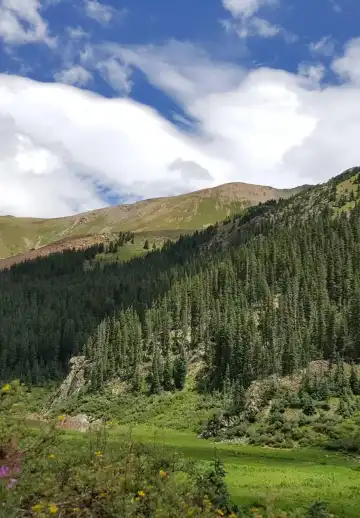 陶斯滑雪谷酒店
