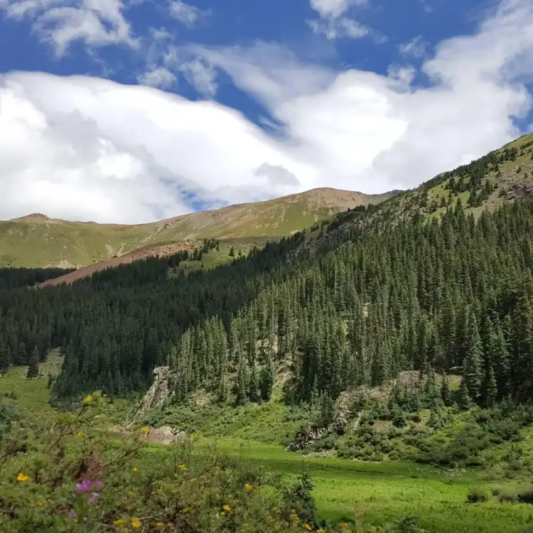Hotels in Taos Ski Valley