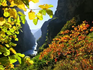 Hổ Khiêu Hiệp