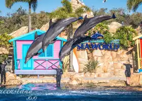 Gold Coast Sea World