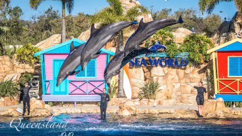 Gold Coast Sea World attraction in Australia