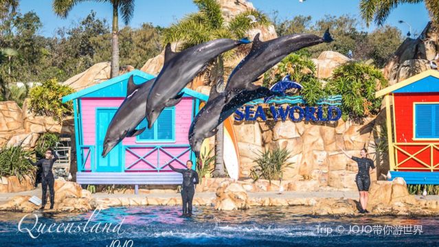 Gold Coast Sea World