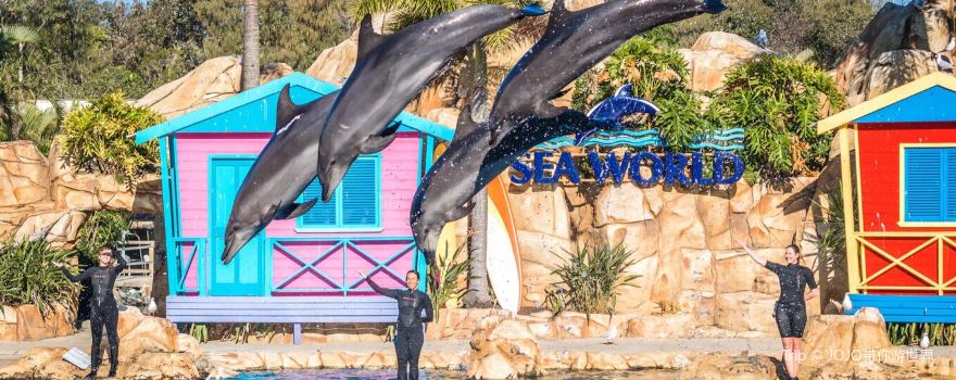 Gold Coast Sea World