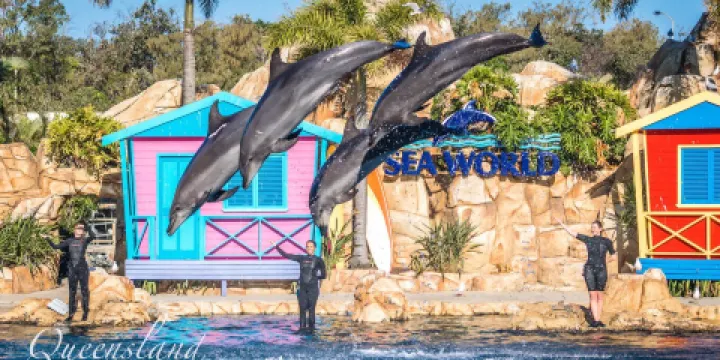 黃金海岸海洋世界