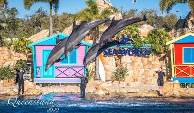 Sea World