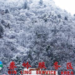 肯德基(秦岭服务区店) User Photo