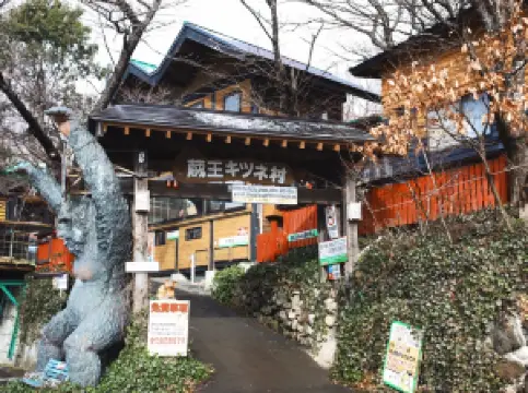 Zao Village delle Volpi (Parco delle Volpi)