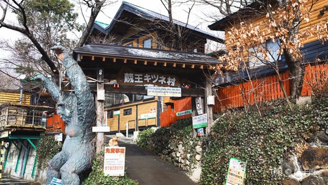 宮城蔵王キツネ村