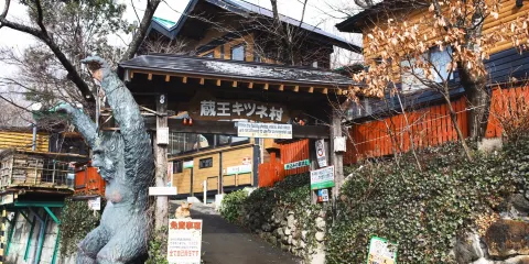 宮城藏王狐狸村