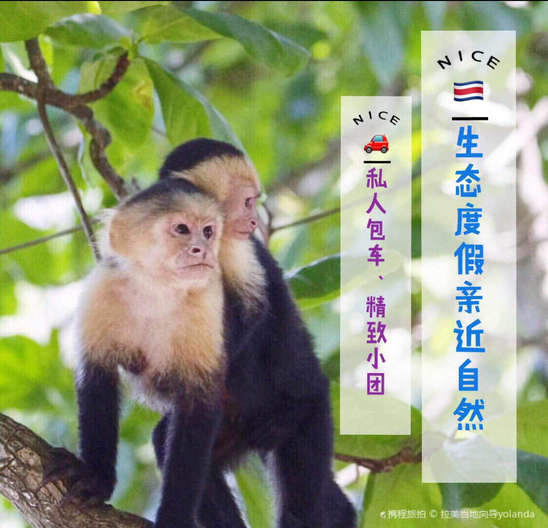 ケポス マヌエル アントニオ国立公園 評判 案内 トリップドットコム