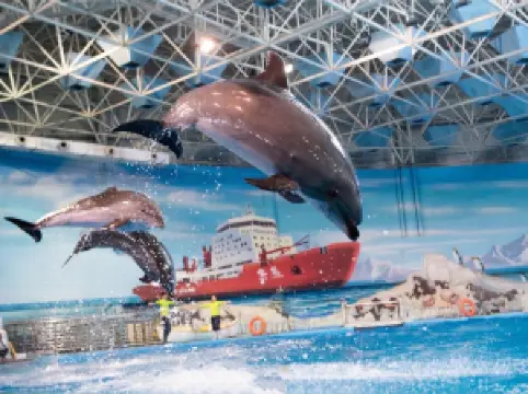 칭다오 극지해양세계