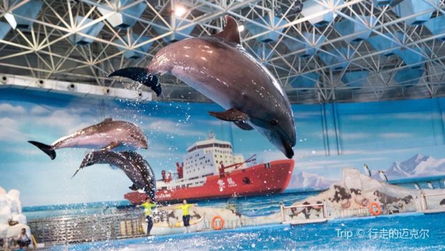 Qingdao Polar Ocean World