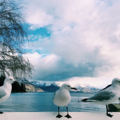 THE BATHHOUSE RESTAURANT QUEENSTOWN User Photo