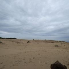 Crest Birubi Beach User Photo