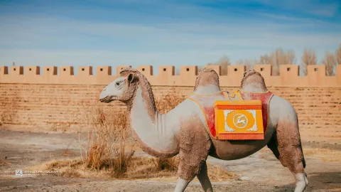 The Overhanging Great Wall Scenic Spot attraction in Jiayuguan
