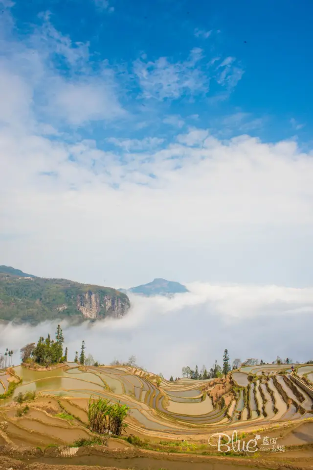 Sea of Clouds Sightseeing in Yuanyang