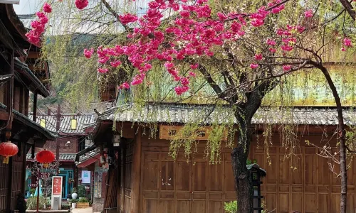 The Ancient Town of Shuhe