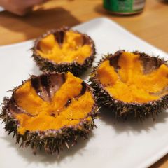 海胆小馆(春柳店) User Photo