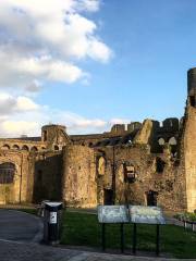 Swansea Castle