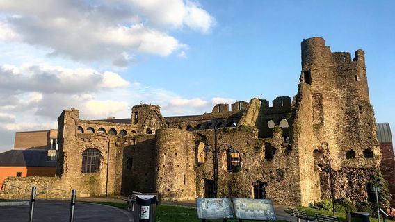 スウォンジー城