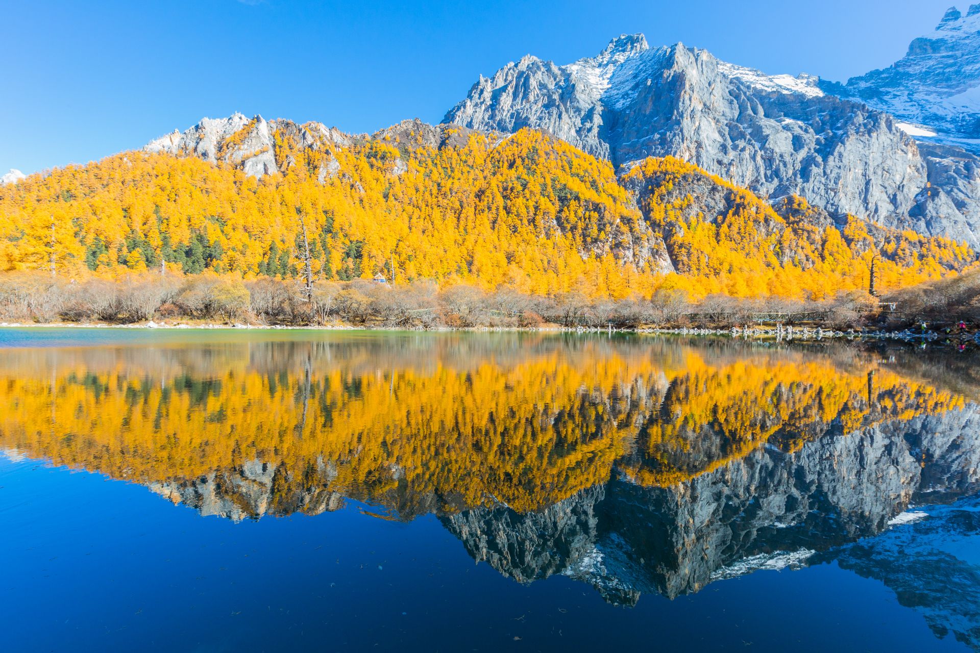 Daocheng
