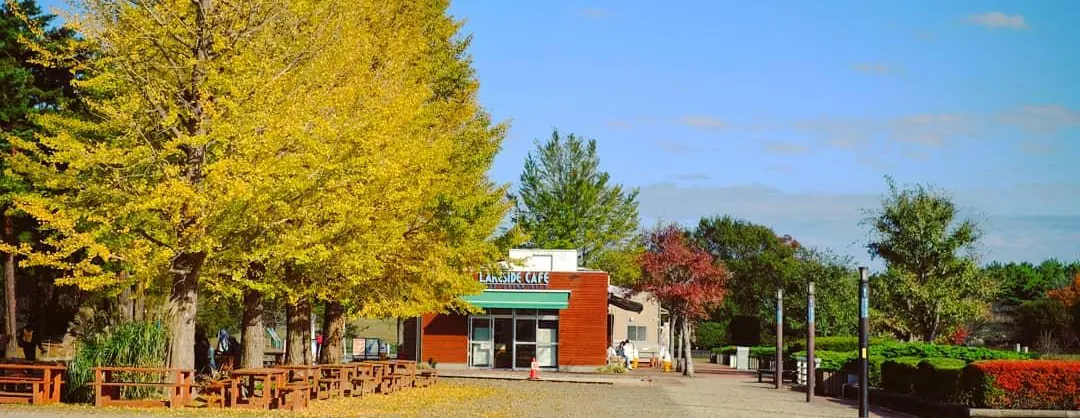 Fall Viewing Attractions