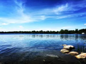 Lake Wilcox