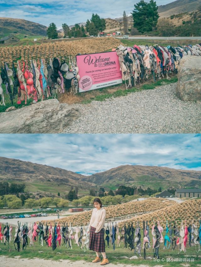 Cardrona Bra Fence