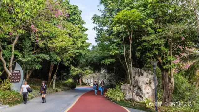 private group tour for 2 people or more, Qingxiu Mountain, Yongzhou Ancient City, Garden Expo Park, one-day tour, Nanning Fangchenggang, door-to-door pick-up