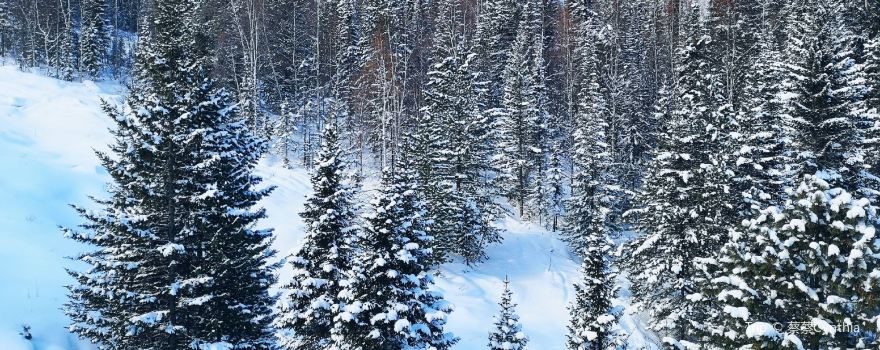 Sable Mountain, Baikal Ski Resort