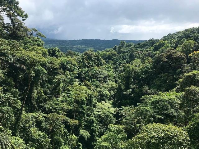 Mistico Arenal Hanging Bridges Park