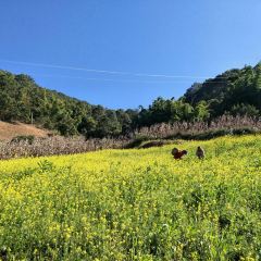 花猫田·奶茶果茶(永德店) 여행 사진