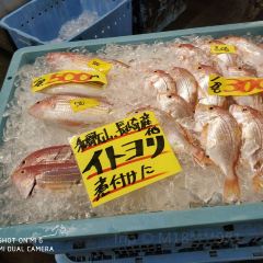 Toretore tei ảnh của người dùng