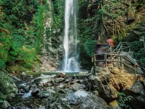 Morrie Falls