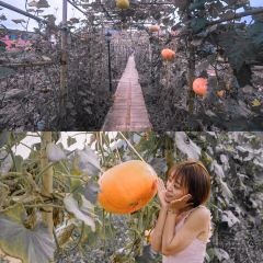 汇景农庄 User Photo