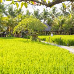 Bale Udang Mang Engking Ubud User Photo