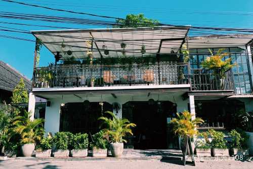 Coffee Cartel
