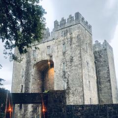 Bunratty Medieval Feast User Photo