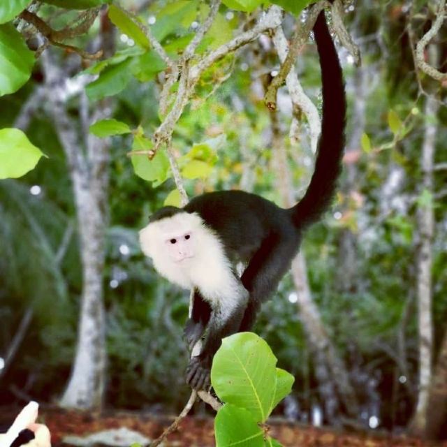 Manuel Antonio National Park