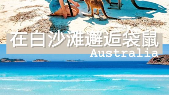 澳大利亚小众景点邂逅西澳白沙滩上的袋鼠群&middot;墨客