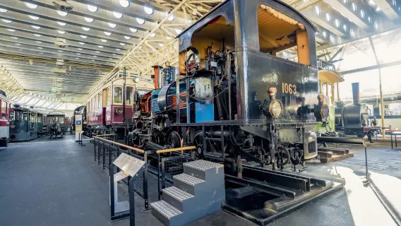 Swiss Museum of Transport + City Train Lucerne + Old Town [Flexible Itinerary]