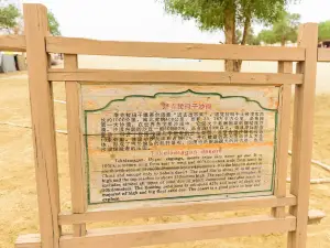 Taklimakan desert